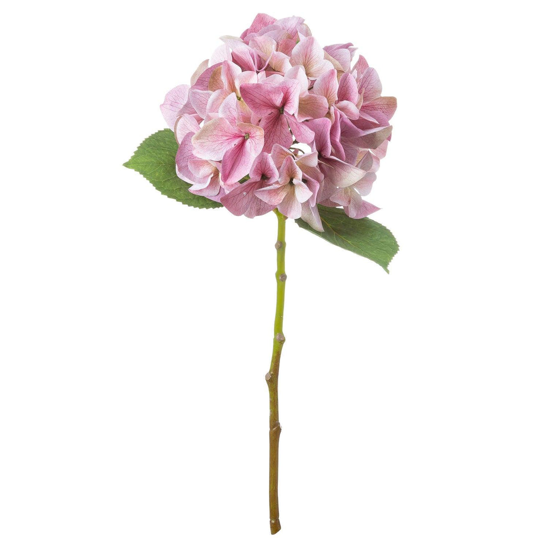 Shabby Pink Single Hydrangea - £19.95 - Artificial Flowers 