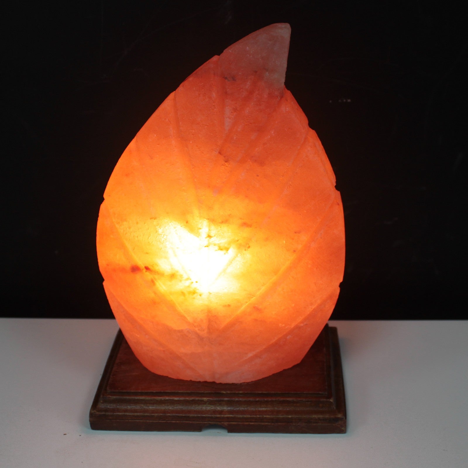 Shape Salt Lamp - Fern-