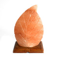 Shape Salt Lamp - Fern - £75.0 - 