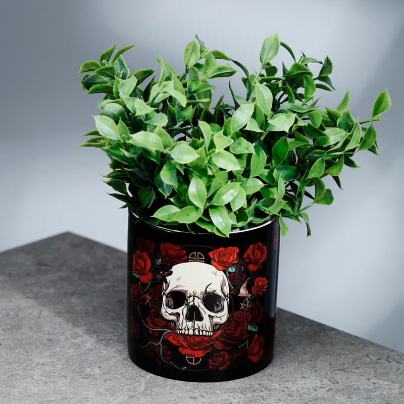 Skulls & Roses Ceramic Indoor Plant Pot - Large - £9.99 - 