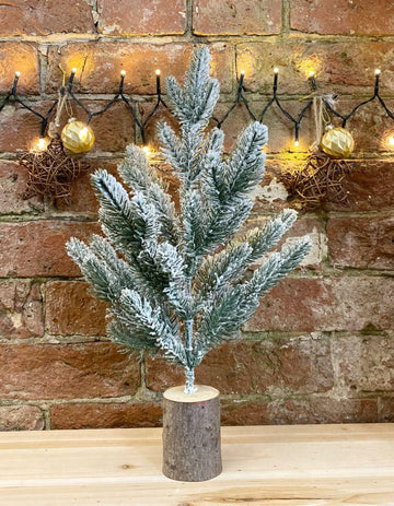 Small Frosted Christmas Tree In Log 43cm - £20.99 - 