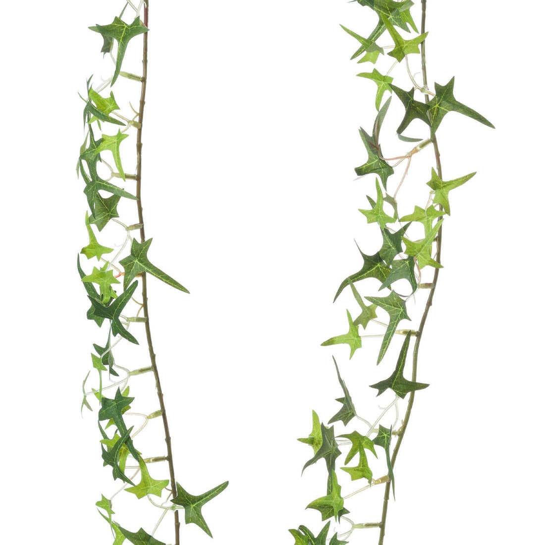 Small Ivy Garland - £19.95 - Gifts & Accessories > Christmas Decorations > Christmas Wreaths & Garlands 