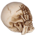 Speak No, Hear No, See No Evil Set of 3 Skulls-