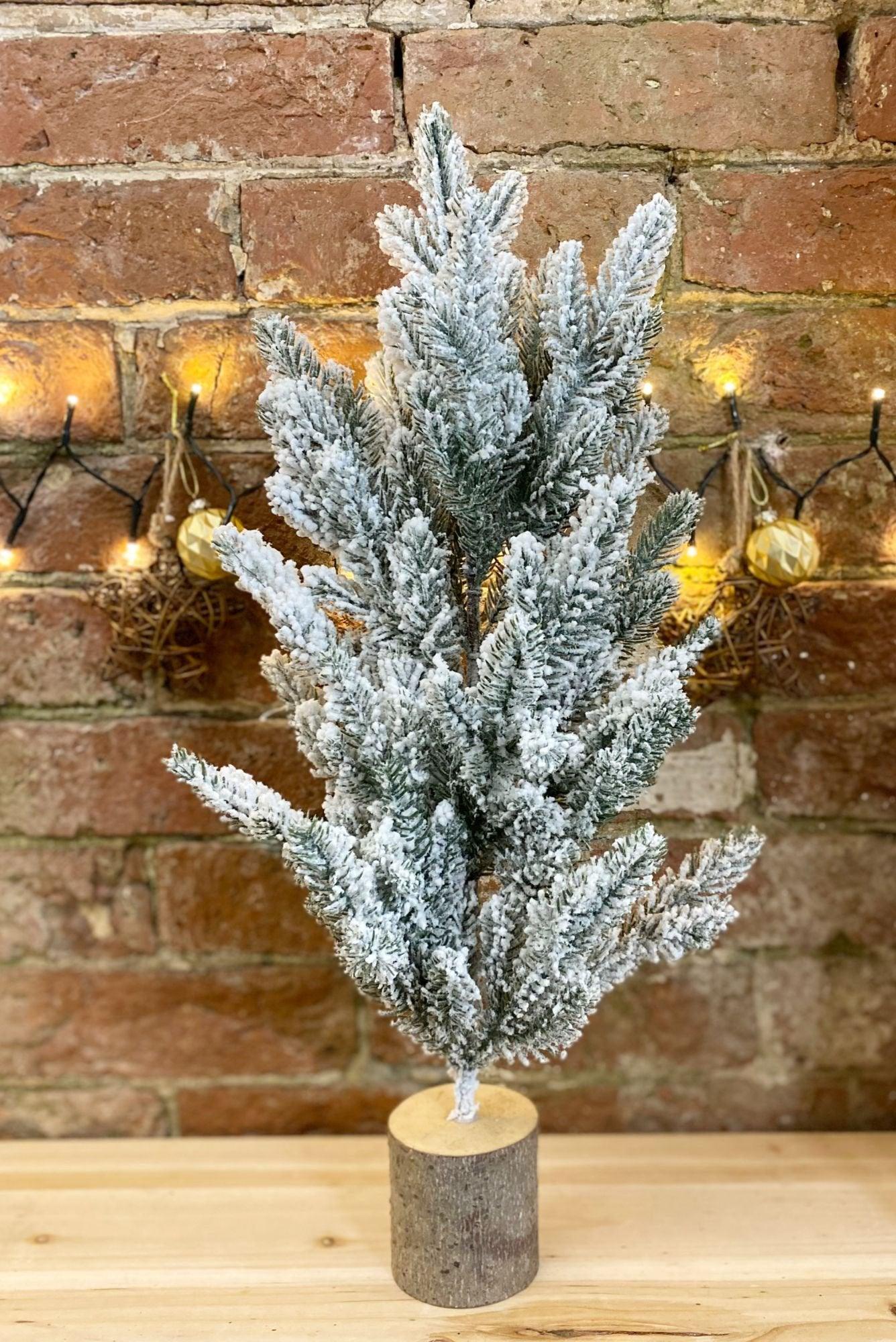 Tall Frosted Christmas Tree In Log 56cm - £35.99 - 