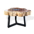 Tamarind and Resin Coffee Table - Aqua-