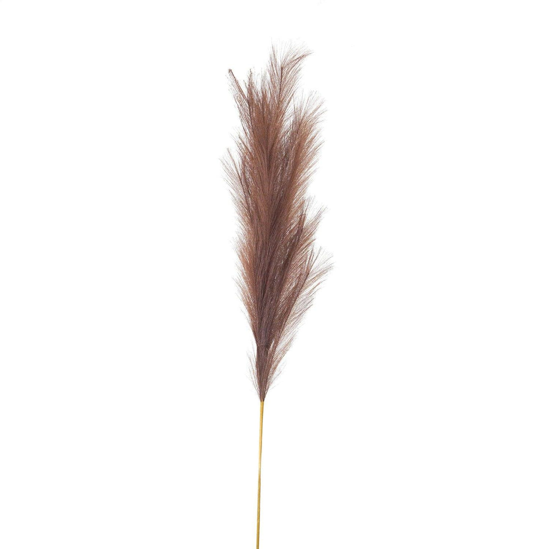 Taupe Large Faux Pampas Grass Stem - £21.95 - Artificial Flowers 