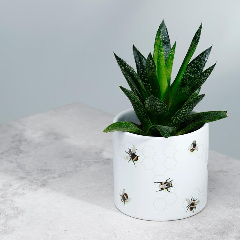 The Nectar Meadows Bee Ceramic Indoor Plant Pot - Small - £7.0 - 