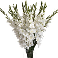 White Gladioli-Artificial Flowers