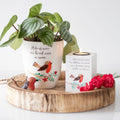 Winter Robin Ceramic Plant Pot-Plant Pots