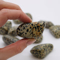 XL Tumble Stones - Dalmation Stone-